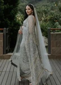 Saree with a Veil for Bride to be