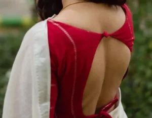 Trendy Kerala Saree Blouse Back Design 