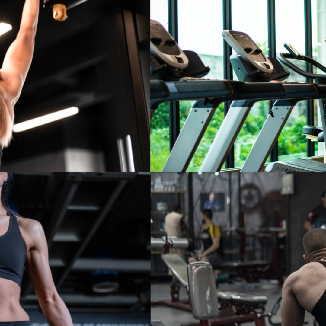 9 Best Gym In Greater Noida West 2 9 Best Gym In Greater Noida West