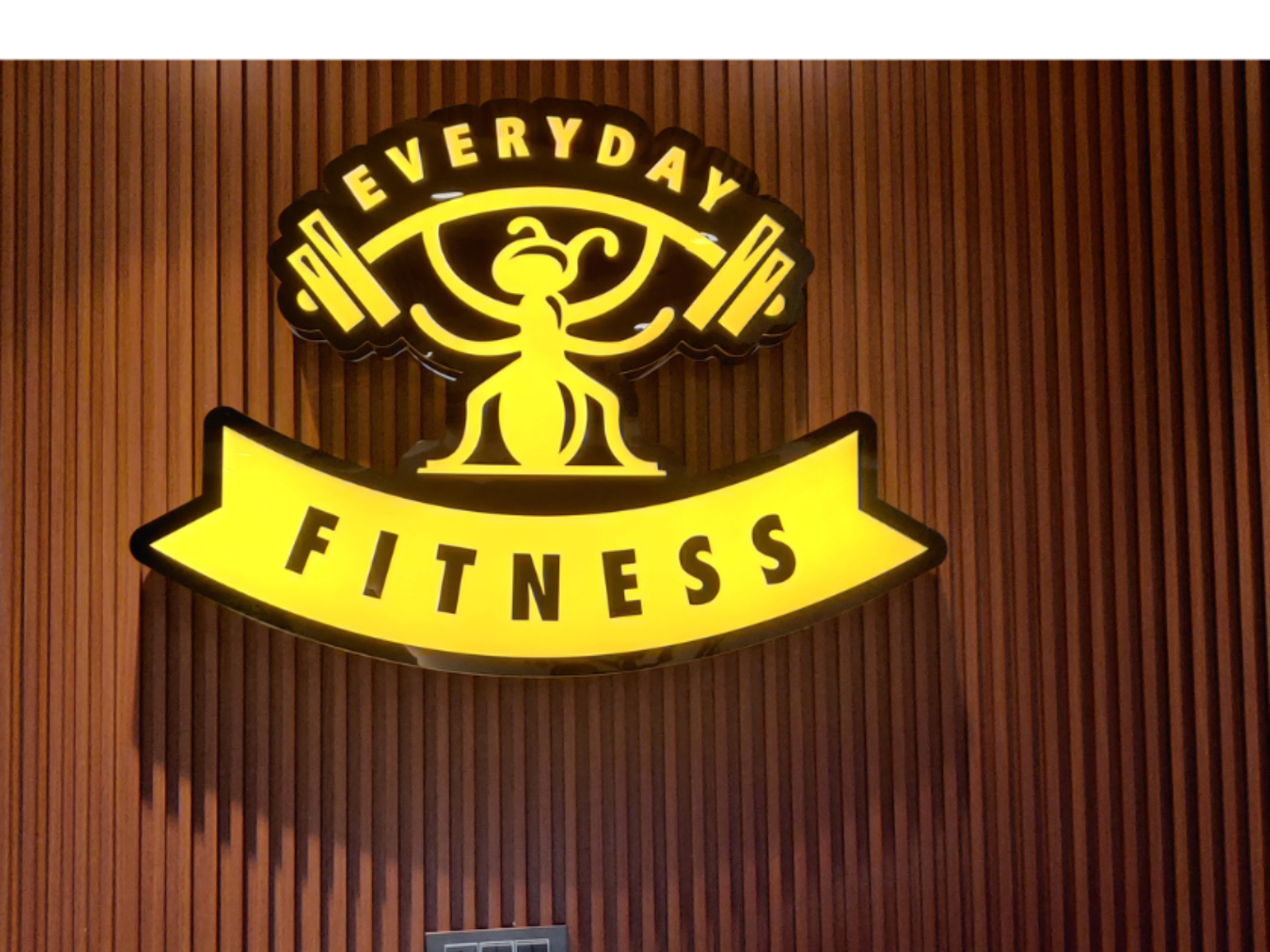 Everyday Fitness Blue Saphire Mall Greater Noida West